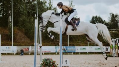 equestrian paralympics 2024 2024