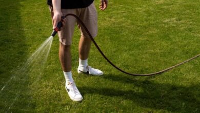 Lawn Care