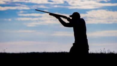 Crossbow Hunting
