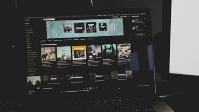 Streaming Platforms
